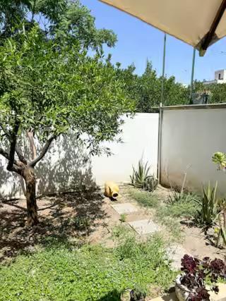 Origini - Apartment With Private Garden Lecce Buitenkant foto